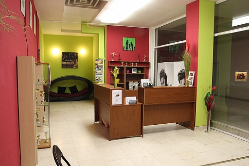 Info o členských příspěvcích