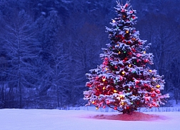 Vánoční prázdniny